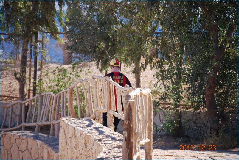 sharm 12 058